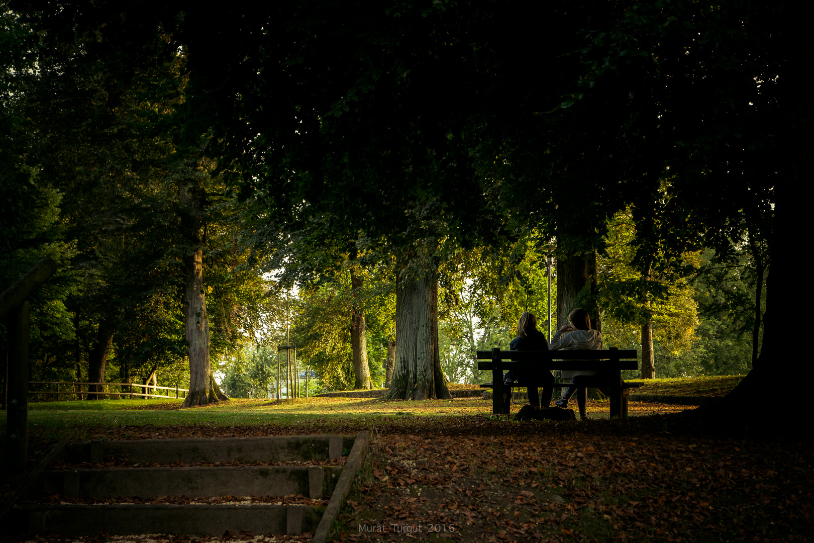 Den Herbst genießen.