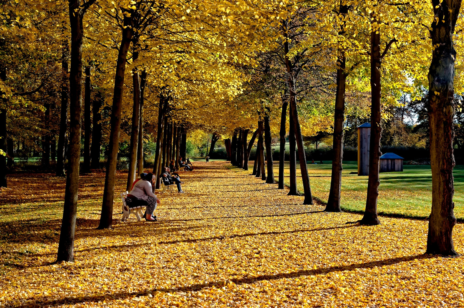 ... den Herbst genießen ...