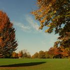 den Herbst genießen ...