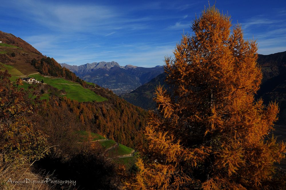 den Herbst geniessen