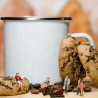 Den Herbst nutzen...