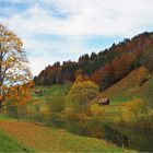 Den Herbst so wie ich ihn mag