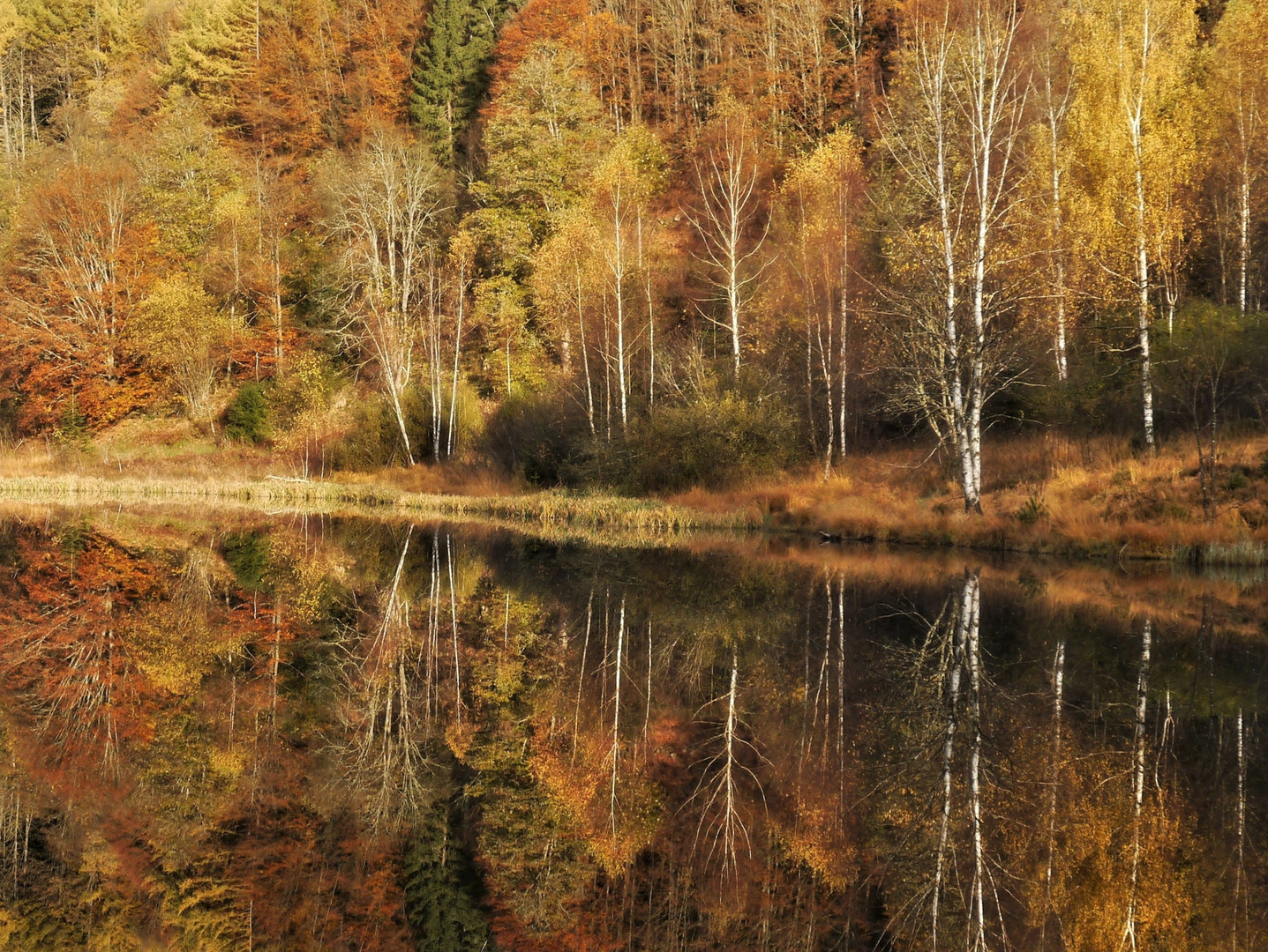 Den Herbst spiegeln