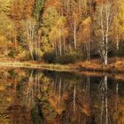 Den Herbst spiegeln