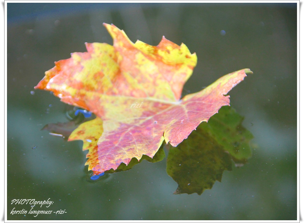 Den Herbst spüren ...