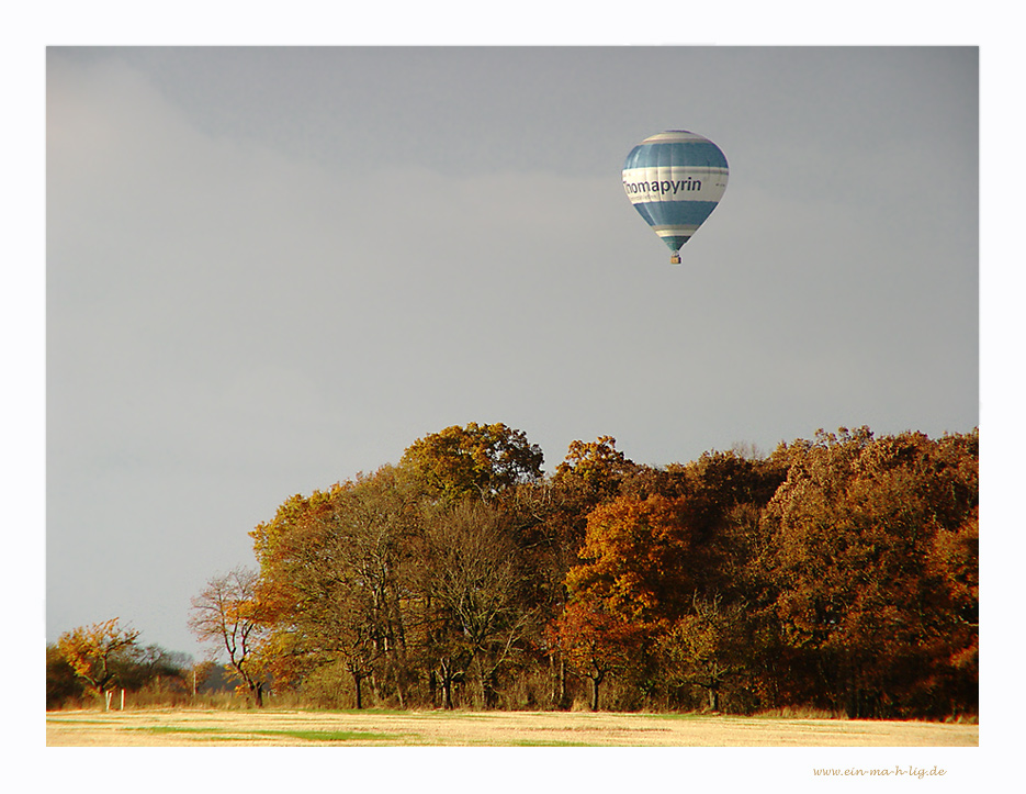 ...den Herbst vor sich hertreiben...