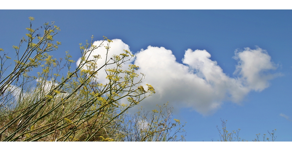 Den Himmel berühren