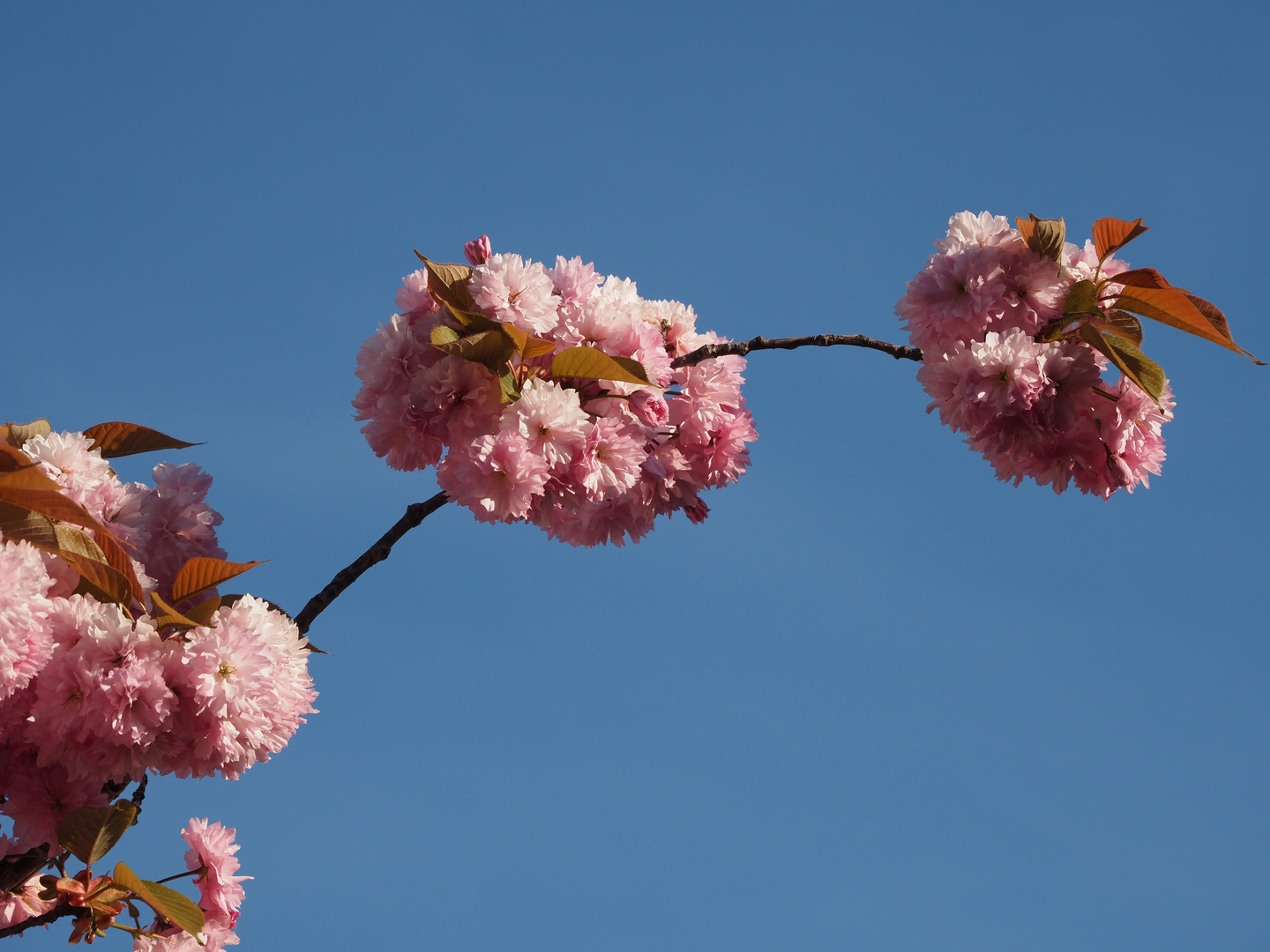 den himmel berühren