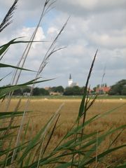 Den Hoorn - Texel