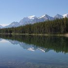 Den idyllischen Herbert Lake am südlichen Anfang des Icefield Parkway...