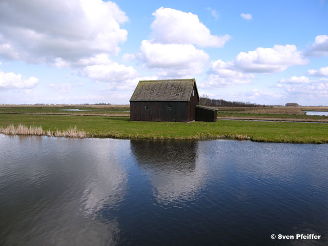 Den ilp (Netherlands)