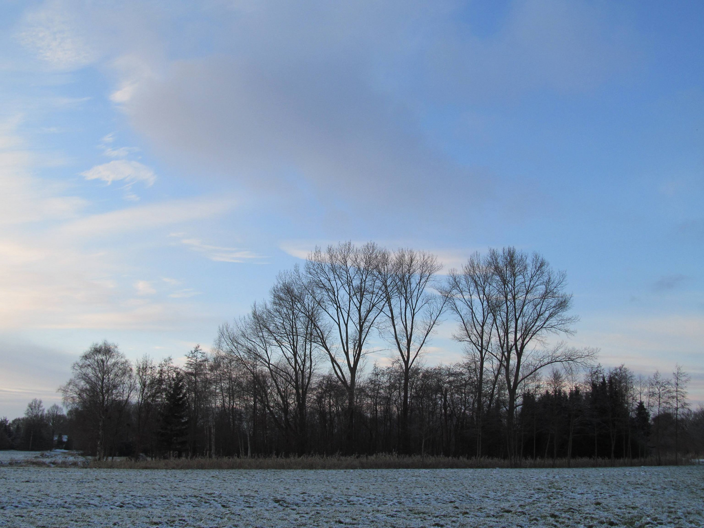 den kleinen Moorwald im Blick ... 