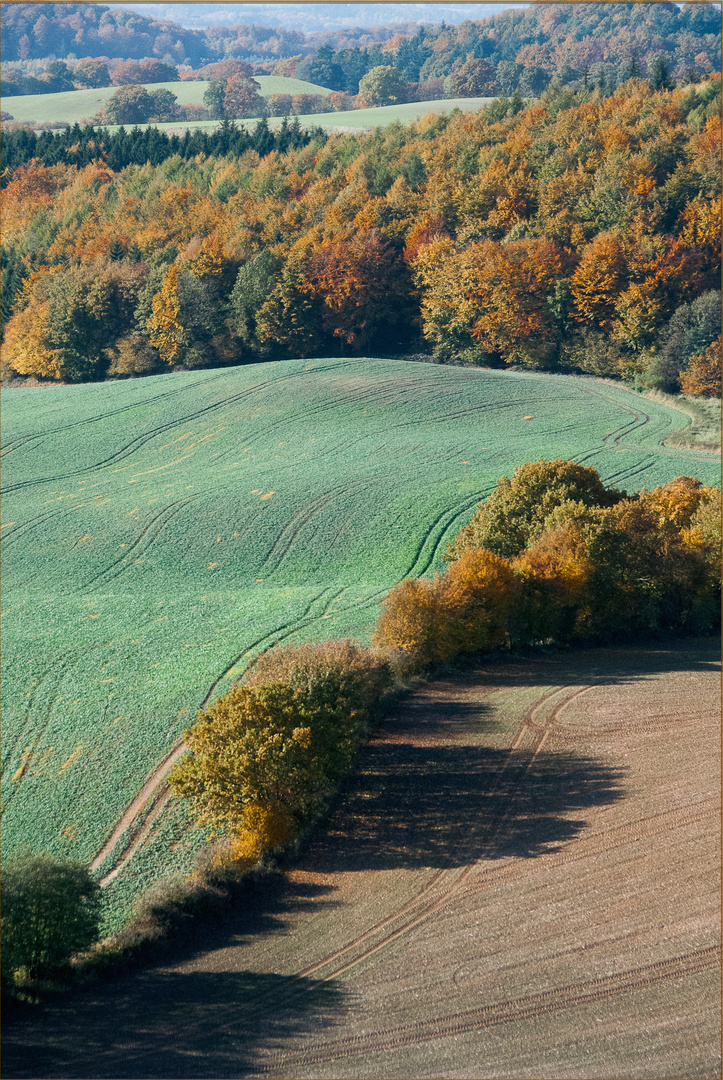 Den Knick im Blick