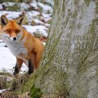 Den kommenden Winter im Blick