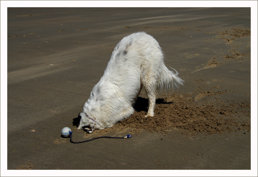 ... den Kopf im Sand ...