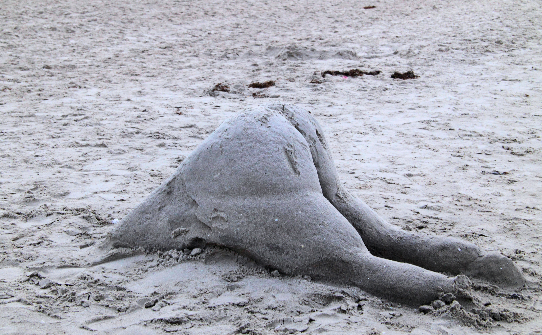 Den Kopf in den Sand stecken