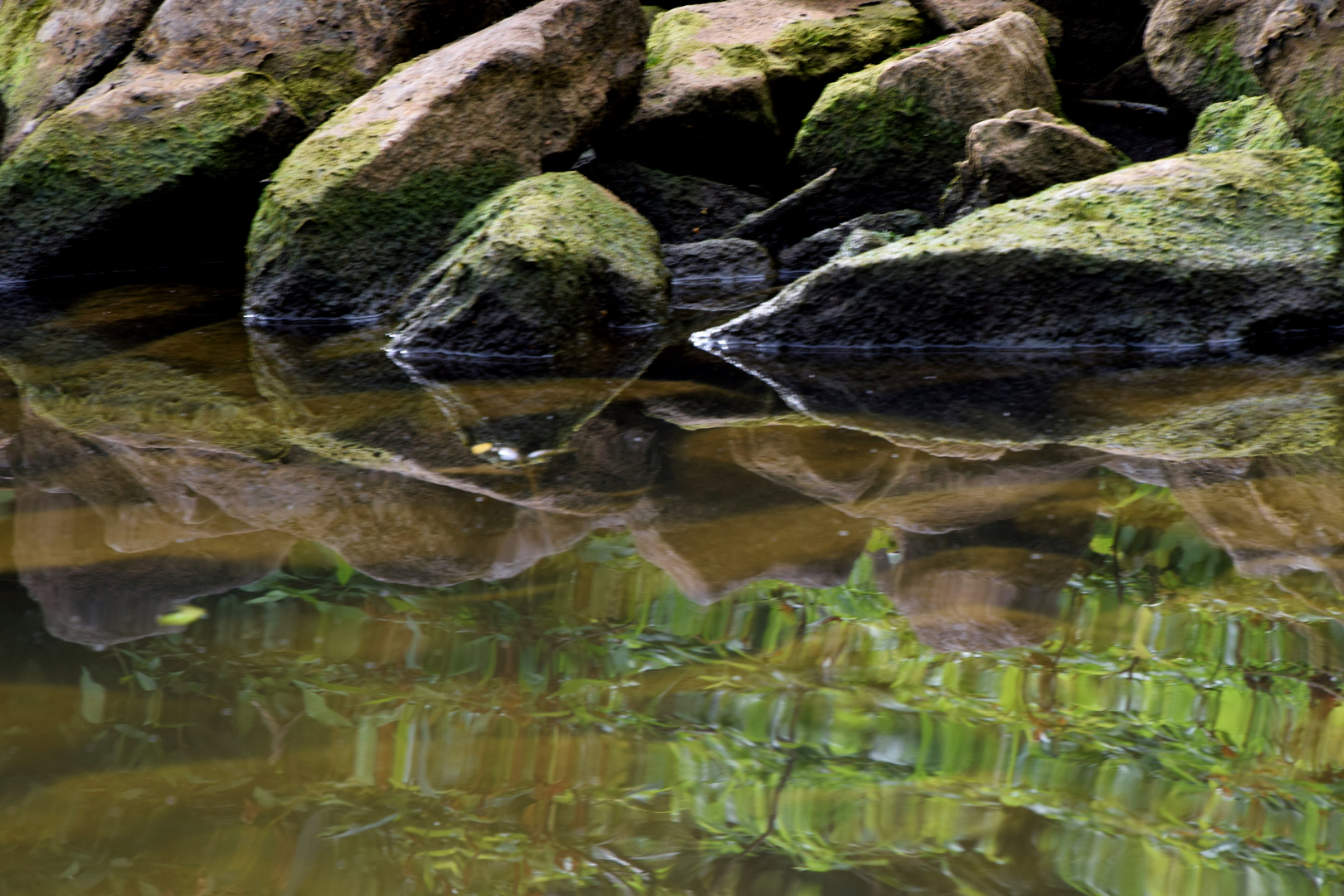 Den Kopf über Wasser halten .......