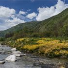 Den kühlen Bach und die Bergwelt geniessen .