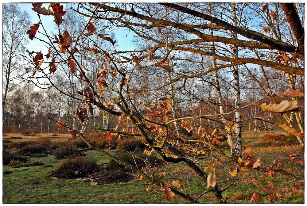 Den letzten Herbsttag