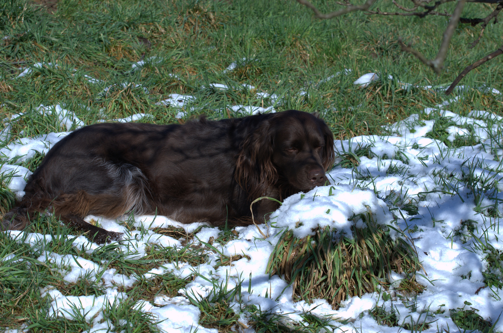 Den letzten Schnee geniesen