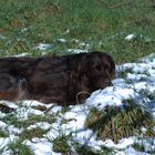 Den letzten Schnee geniesen