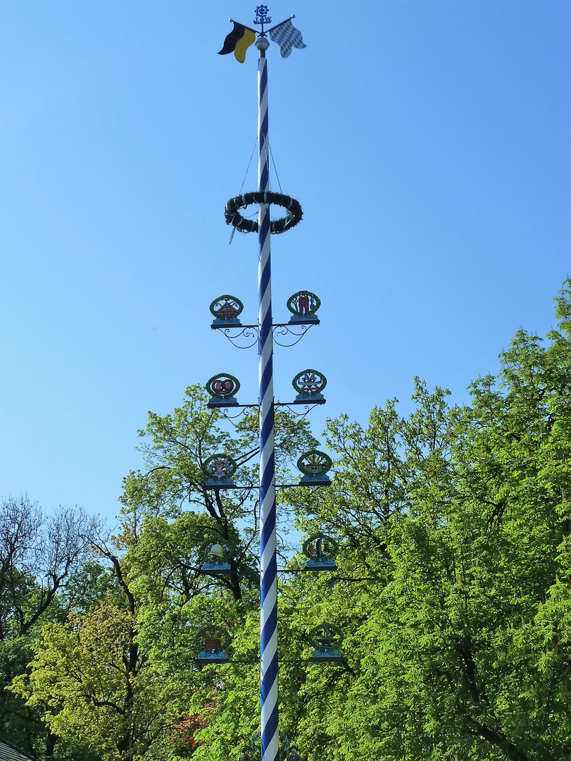 Den Maibaum kennen die Münchner Fc-Stammtischler.