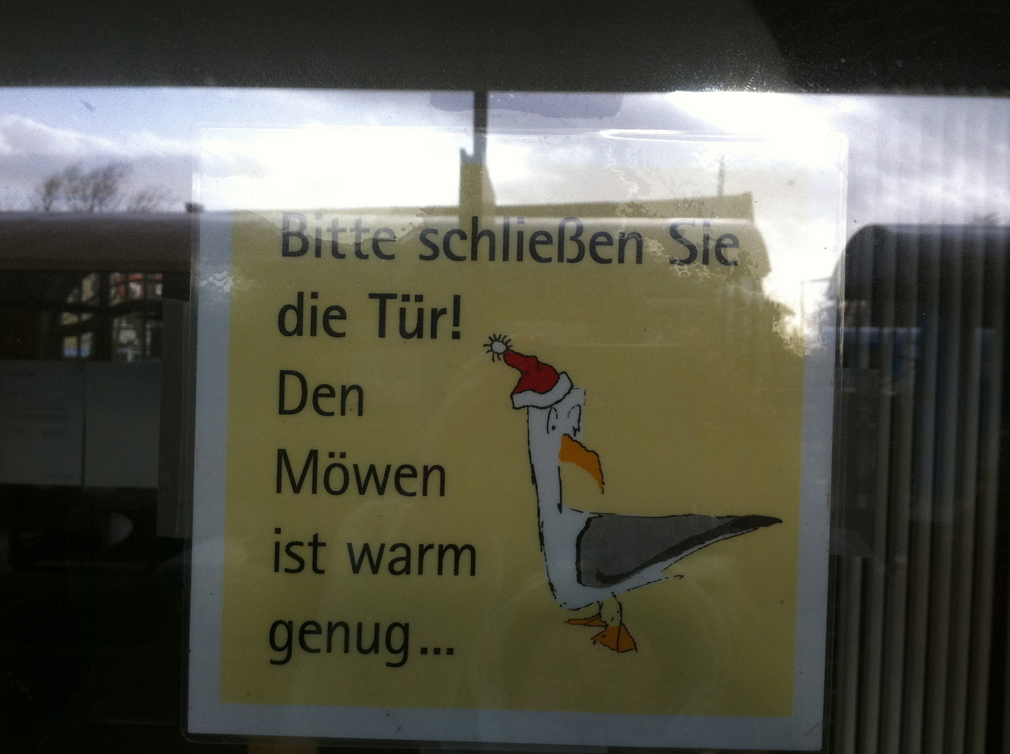 ... den Möwen ist schon warm genug...