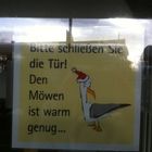 ... den Möwen ist schon warm genug...