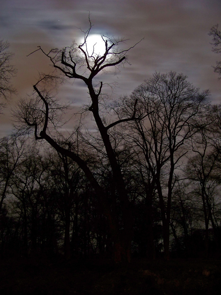 den Mond gefangen