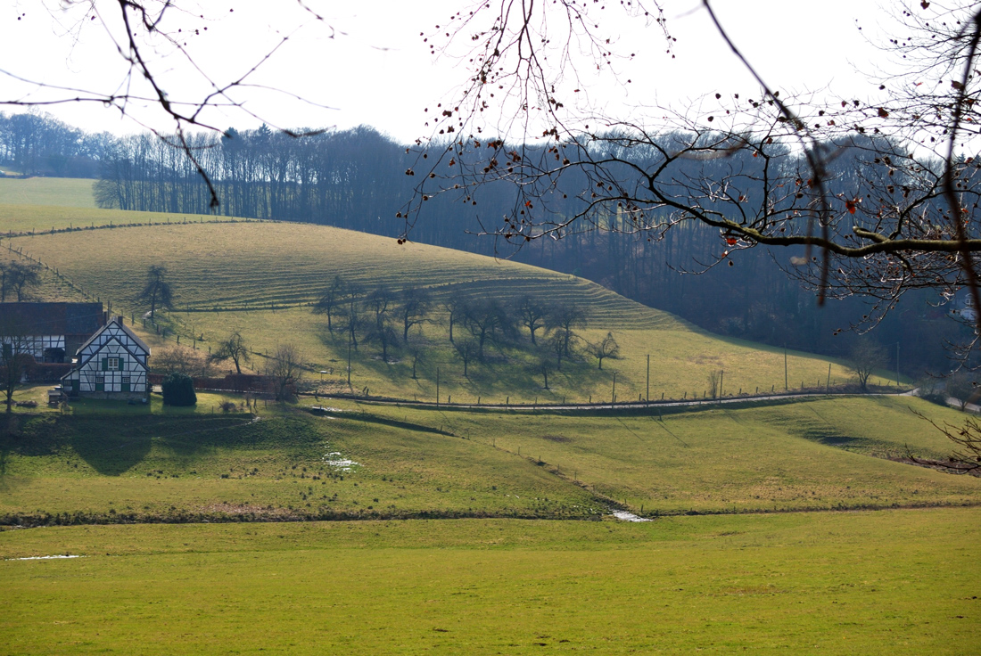 Den nackten Februar in Bergisch Gladbach.