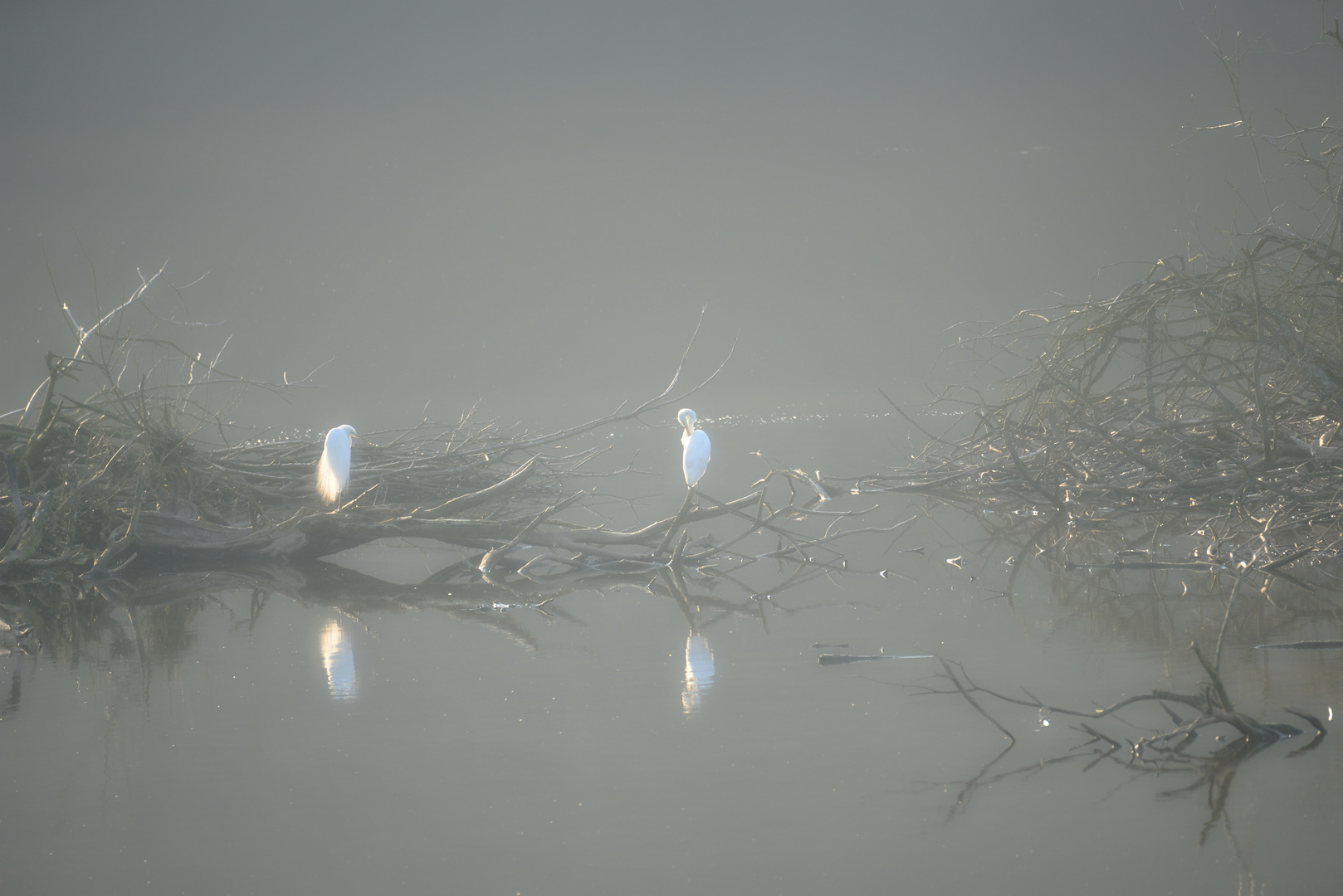 Den Nebel durchbrochen