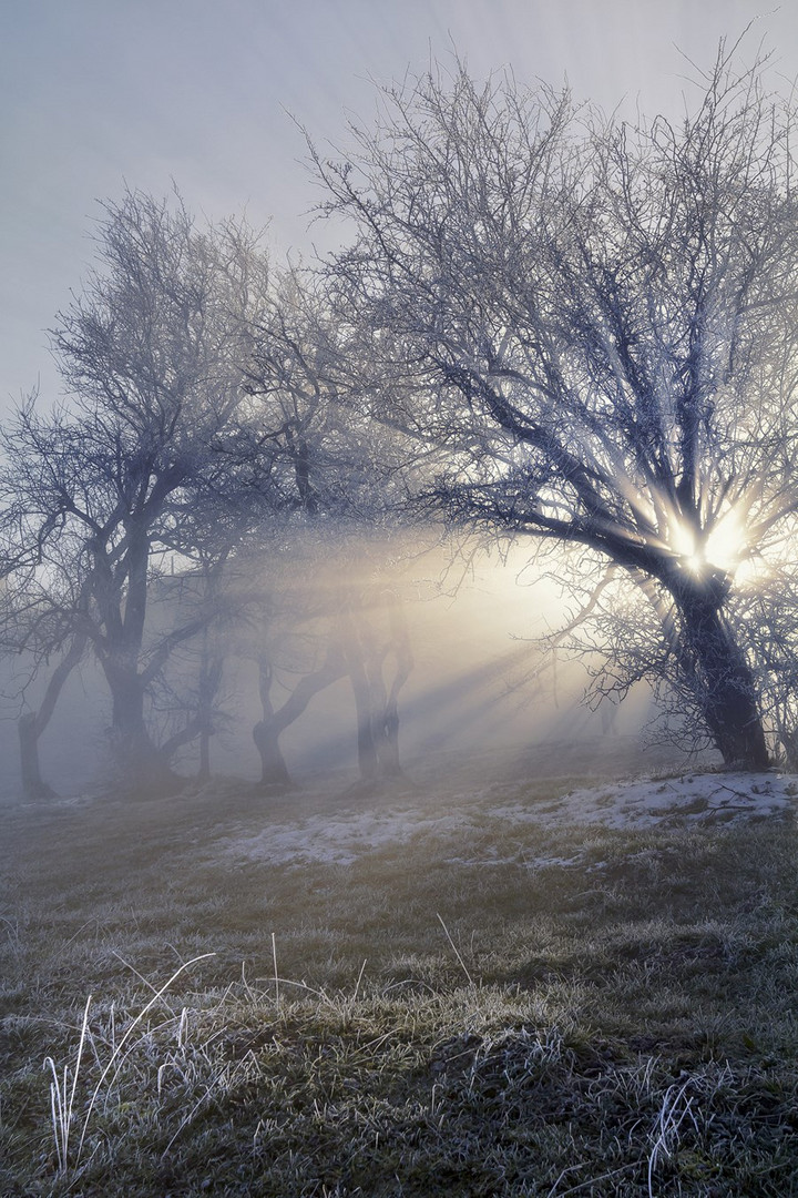 den Nebel durchbrochen