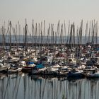 Den Osse Hafen - Grevelinger Meer - Zeeland