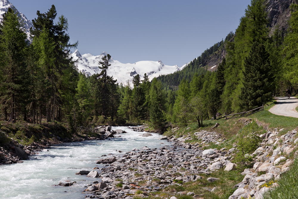 Den Roseg-Gletscher im Blick