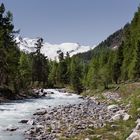 Den Roseg-Gletscher im Blick