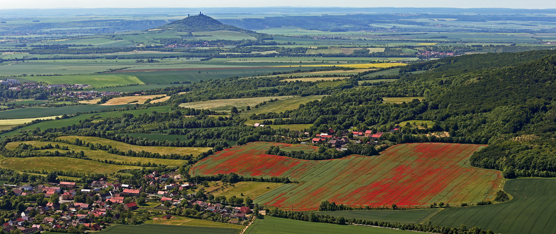 Den roten Mohn hätte ich gerne auch von unten gesehen...