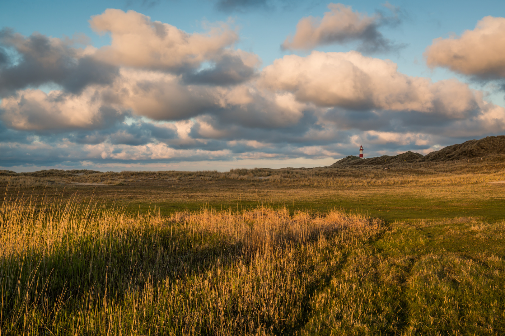 Den Schiffen den Weg weisen