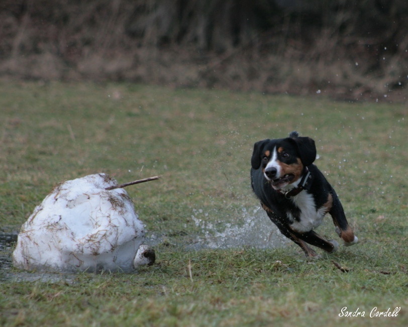 DEN Schnee