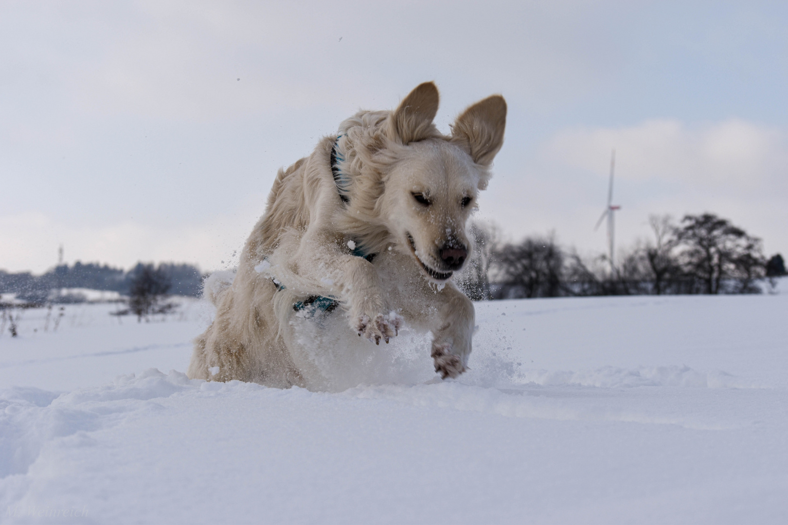 Den Schnee genießen 