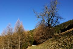 den Schnee muß man auf der Sonnseiten schon suchen