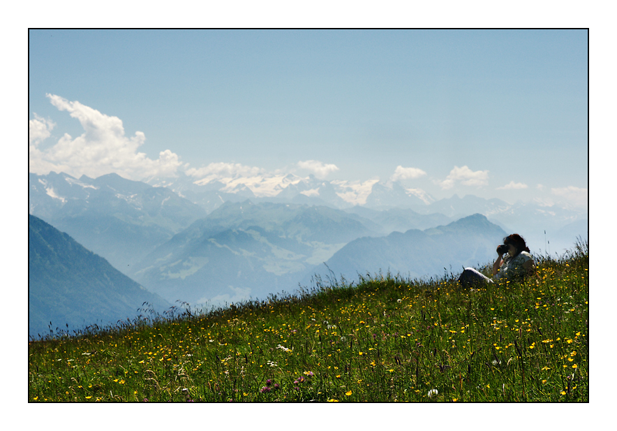 Den Sommer genießen...