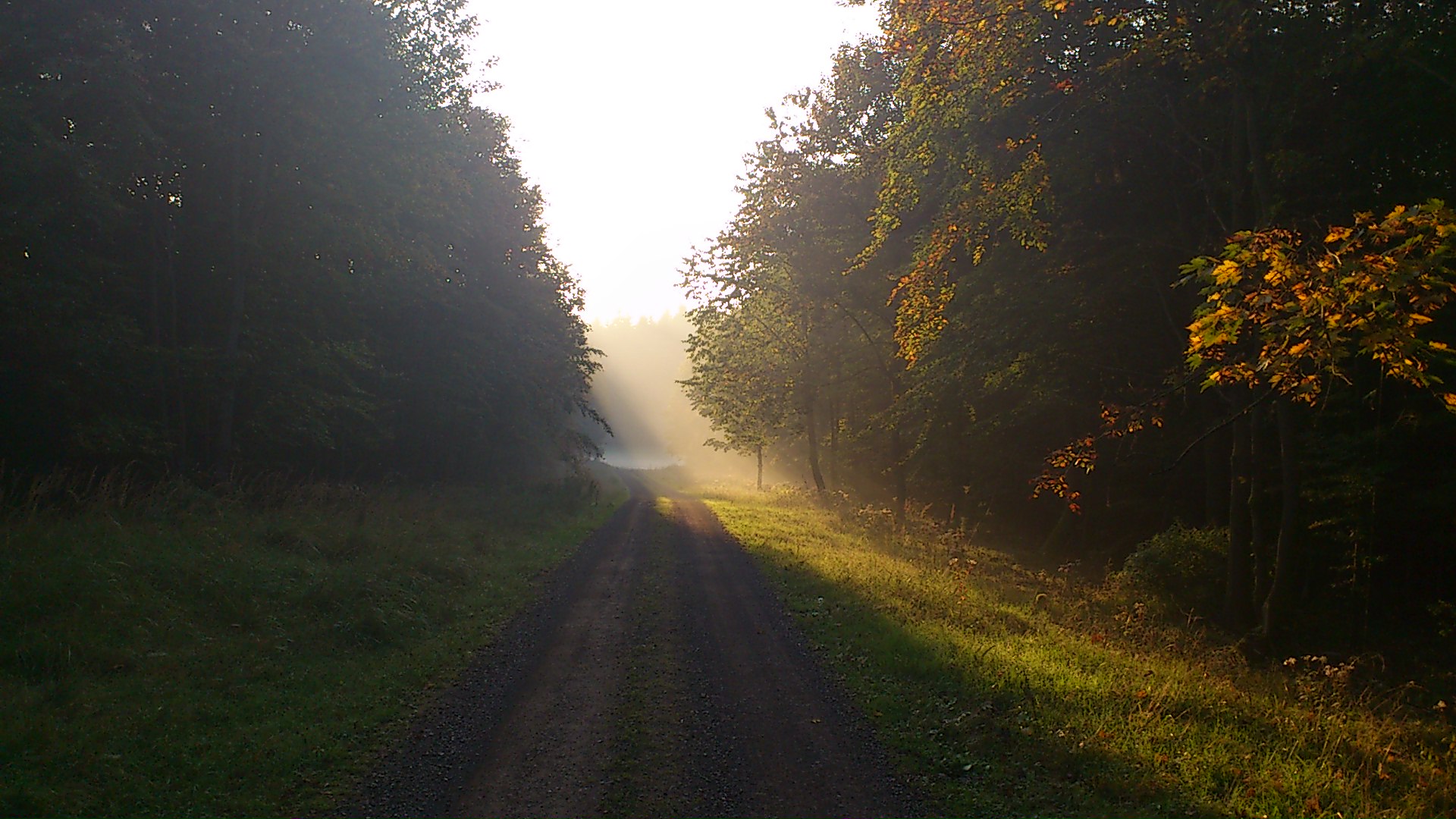 Den Sonnenaufgang entgegen