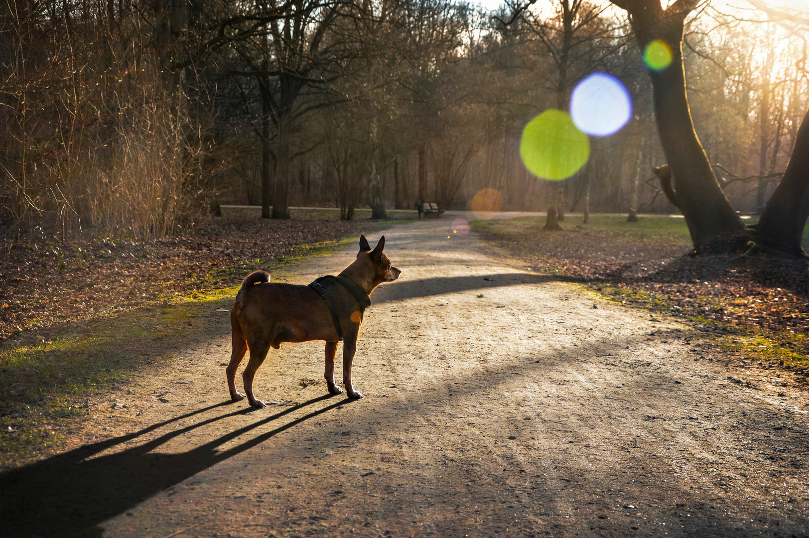 Den Sonnenuntergang genießen