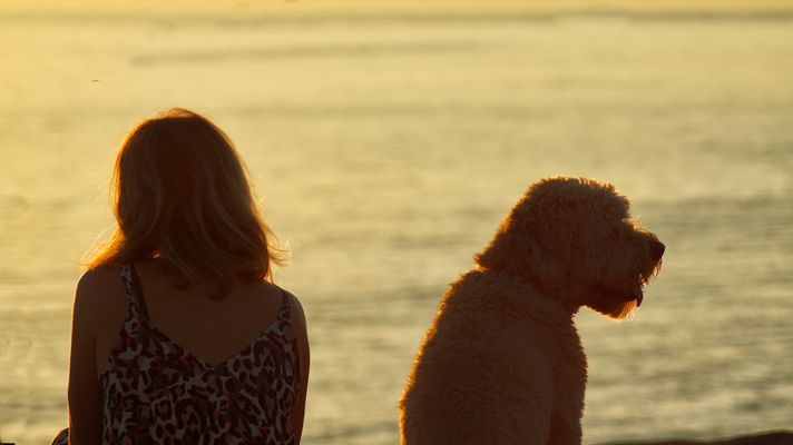 den Sonnenuntergang genießen 