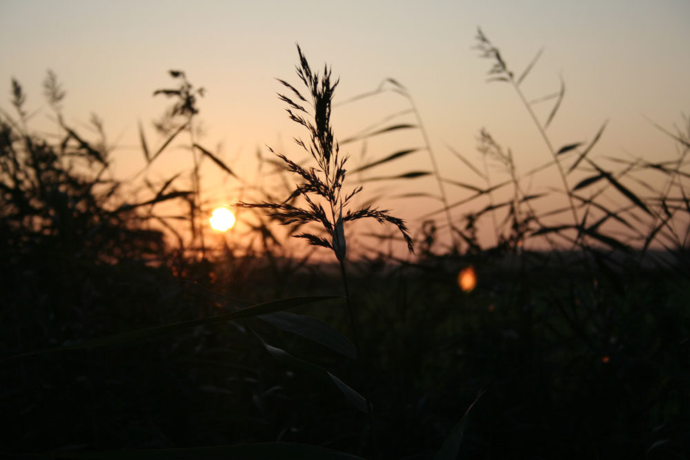 Den Sonnenuntergang mal aus einer anderen Perspektive betrachtet...