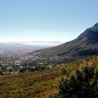 Den Tafelberg im Rücken