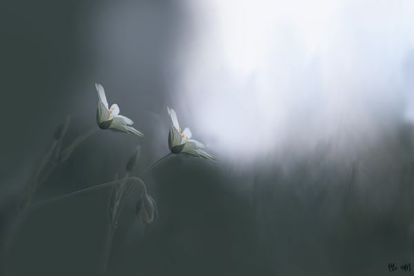 Den Tag gut beginnen..