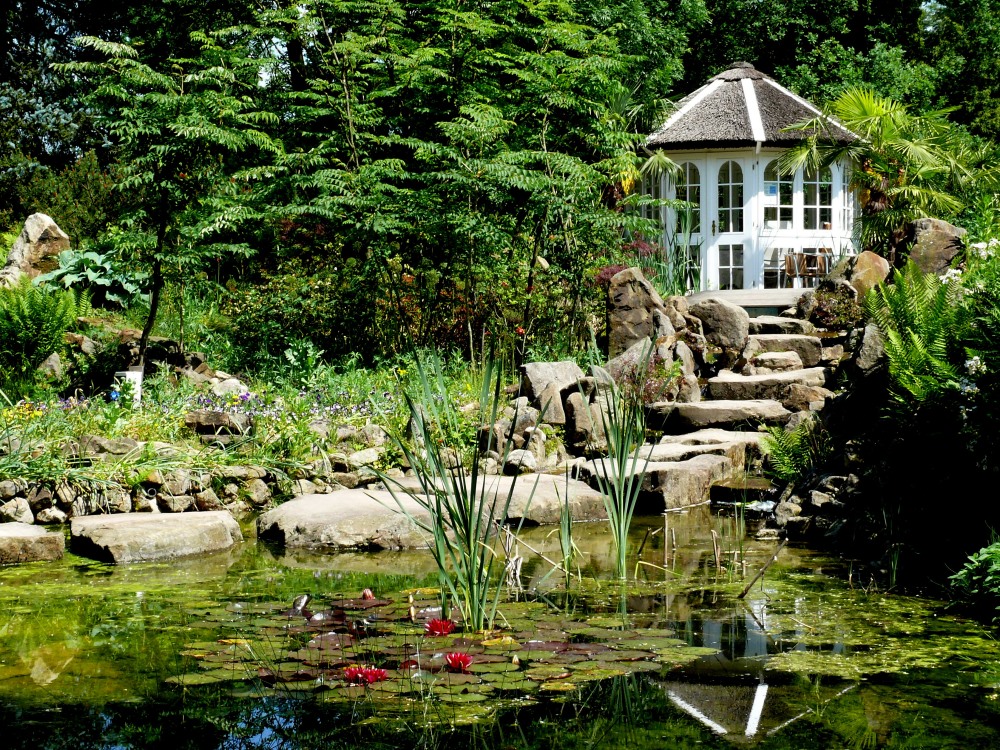 Den Teich hätt ich gern im Garten Foto & Bild landschaft, garten