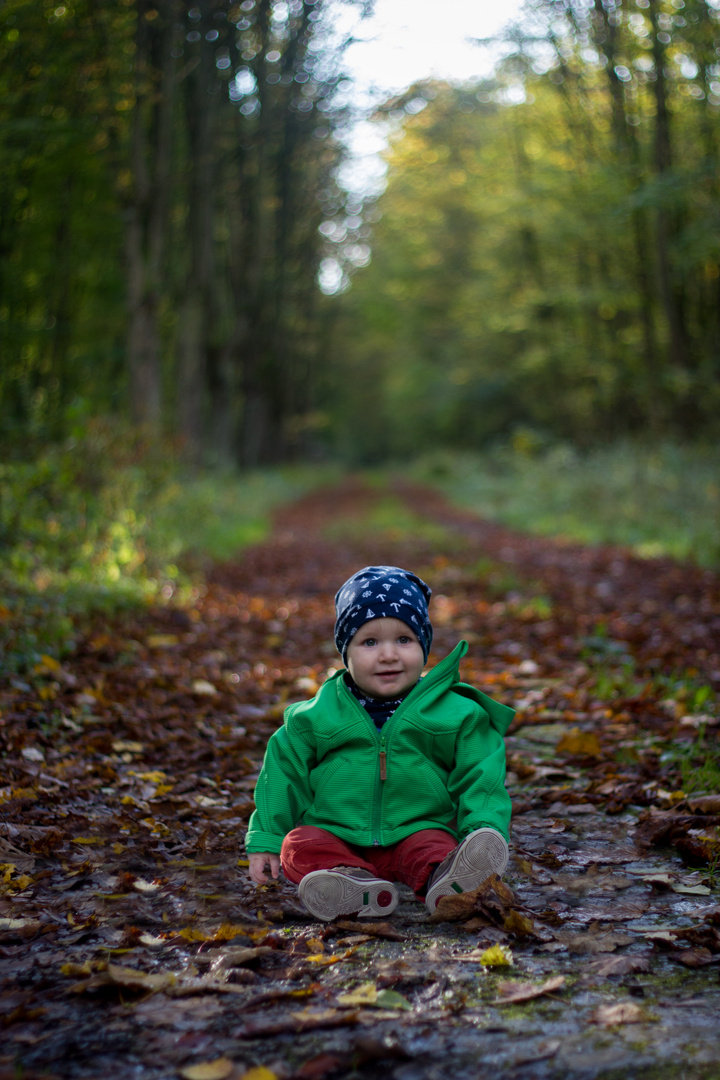 Den Wald entdecken