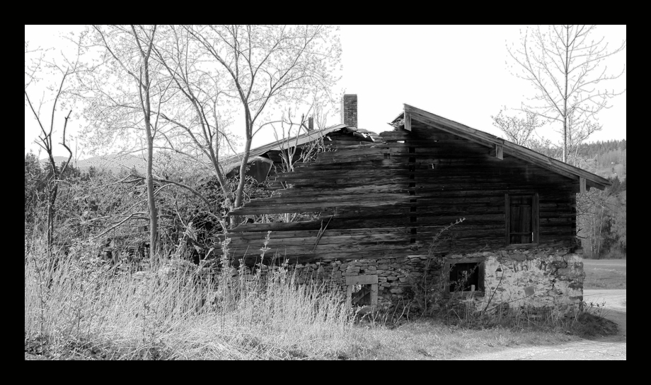 den Wald, im Haus